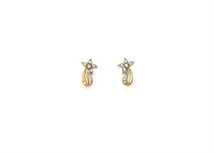 Gold Plated | Fashion Earrings